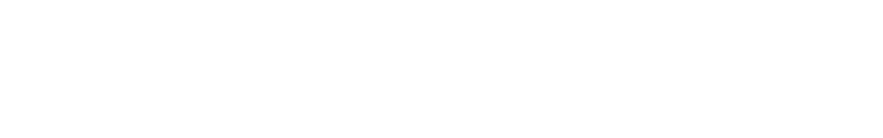 True North Recovery logo